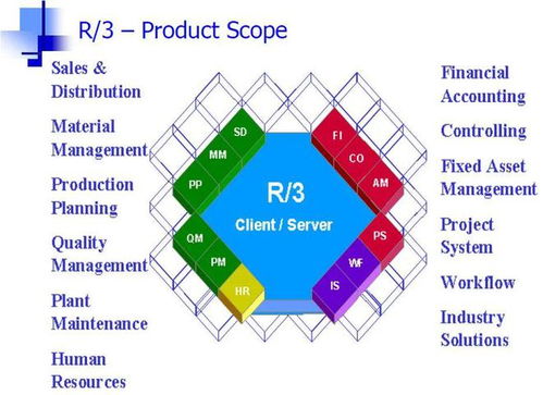 企業自研系統能拿到市場上去當軟件產品賣嗎